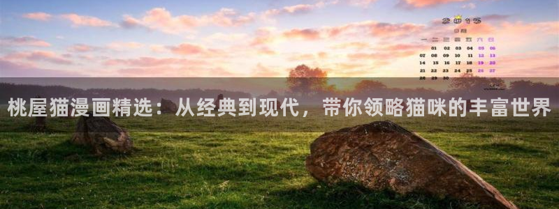 成人韩漫网站：桃屋猫漫画精选：从经典到现代，带你领略猫咪的丰富世界