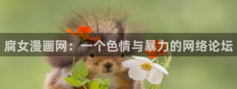 韩漫画有哪些：腐女漫画网：一个色情与暴力的网络论坛