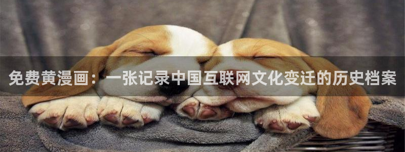 韩漫官网首页免费进入：免费黄漫画：一张记录中国互联网文化变迁的历史档案