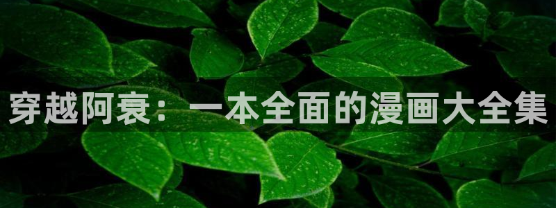 免费韩漫画大全在线观看：穿越阿衰：一本全面的漫画大全集