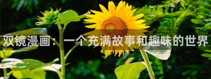 漫漫漫画免费版在线阅读韩漫免费：双镜漫画：一个充满故事和趣味的世界