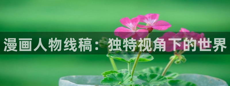 漫画韩漫app：漫画人物线稿：独特视角下的世界