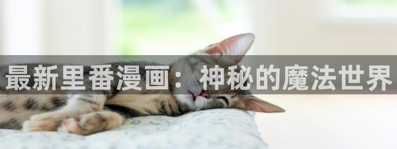 日韩漫漫画：最新里番漫画：神秘的魔法世界