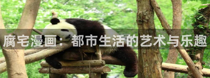 免费看的韩漫网站：腐宅漫画：都市生活的艺术与乐趣