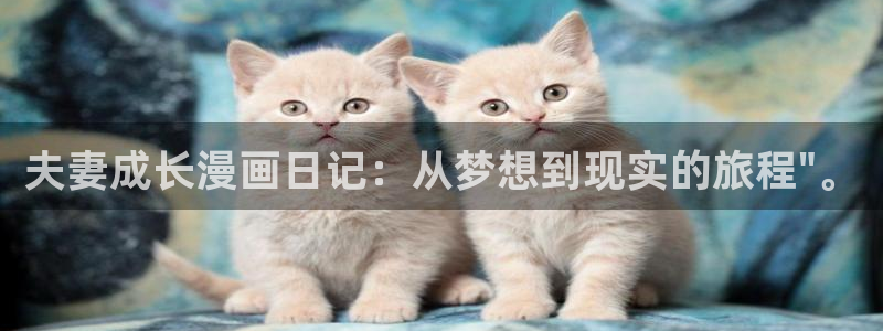日韩漫画puputoon：夫妻成长漫画日记：从梦想到现实的旅程\