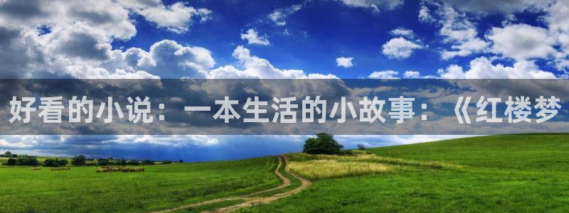 韩漫大陆免费漫画大全：好看的小说：一本生活的小故事：《红楼梦
