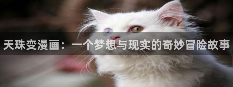 韩漫画址：天珠变漫画：一个梦想与现实的奇妙冒险故事