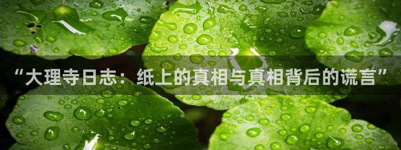 韩漫魔咒在线阅读漫画画免费读漫画下拉式：“大理寺日志：纸上的真相与真相背后的谎言”