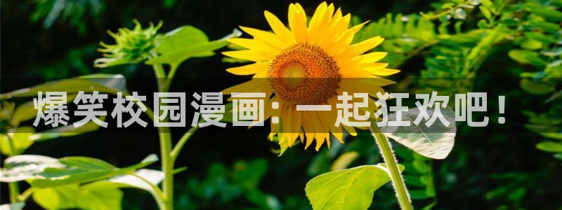 美丽新世界韩漫画无删减免费阅读：爆笑校园漫画: 一起狂欢吧！