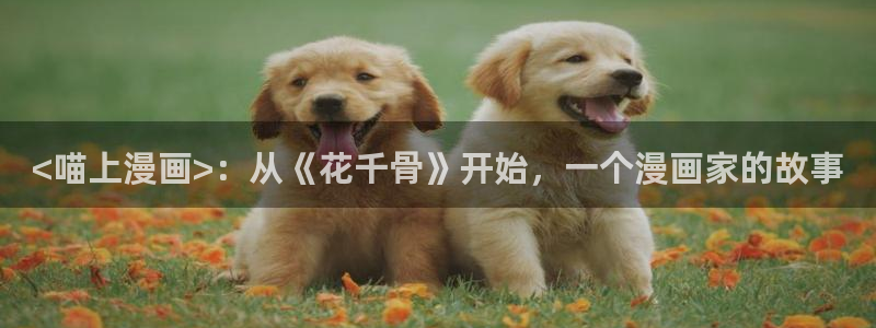 韩漫双男主漫画全集免费：<喵上漫画>：从《花千骨》开始，一个漫画家的故事