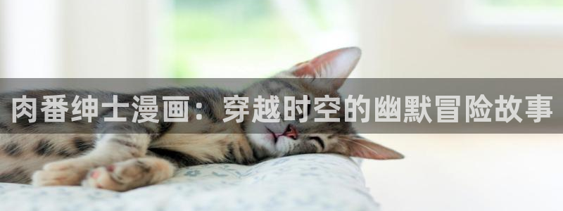 日韩漫画在线阅读：肉番绅士漫画：穿越时空的幽默冒险故事